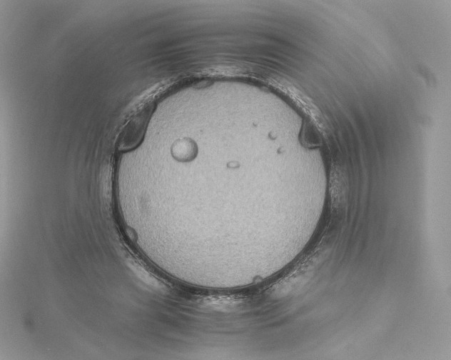 X0000115440445200911251249