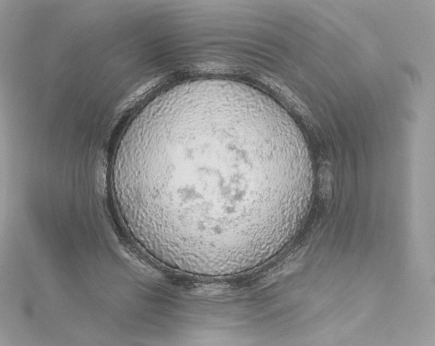 X0000115440446200911251249