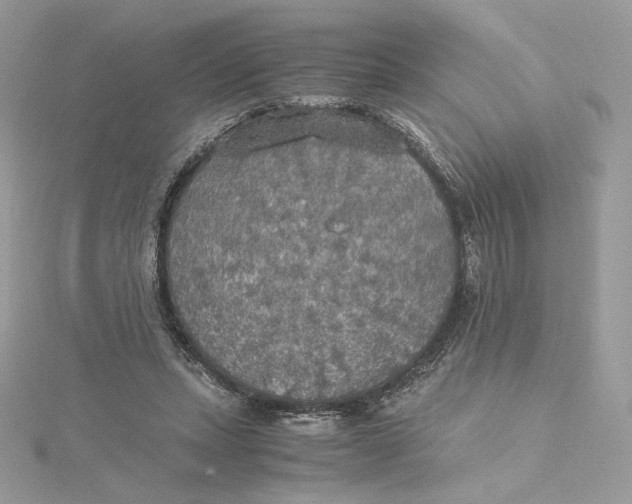 X0000115440447200911251249