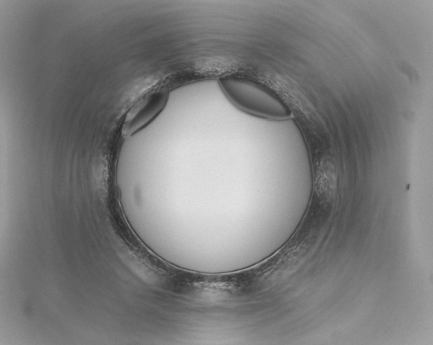 X0000115440448200911251249