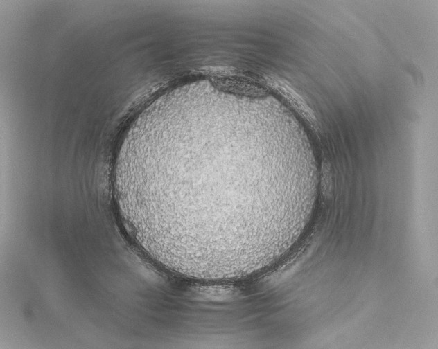 X0000115440449200911251249