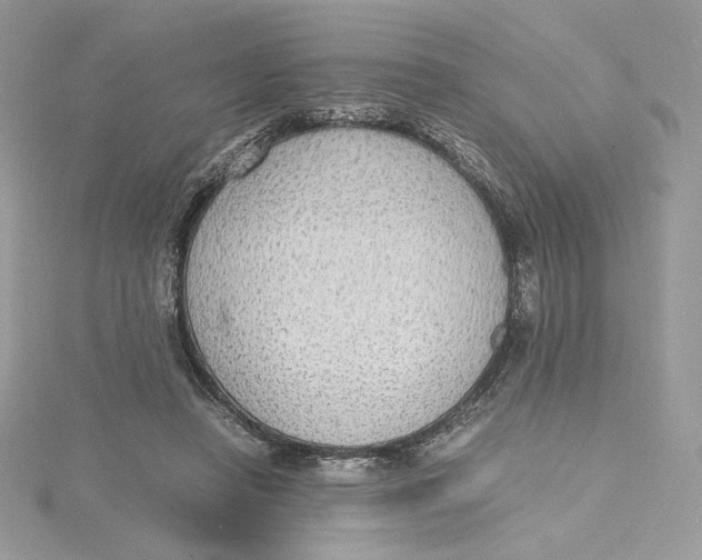 X0000115440450200911251249