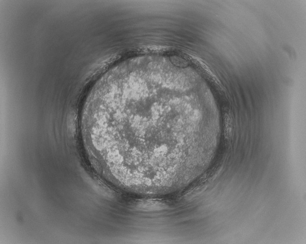 X0000115440451200911251249