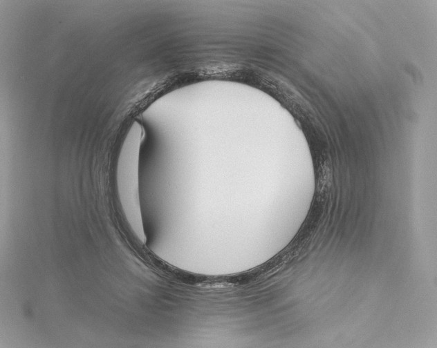 X0000115440452200911251249