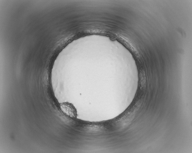 X0000115440453200911251249