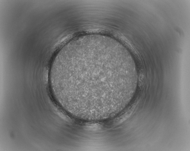 X0000115440454200911251249