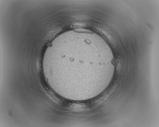 X0000115440455200911251249