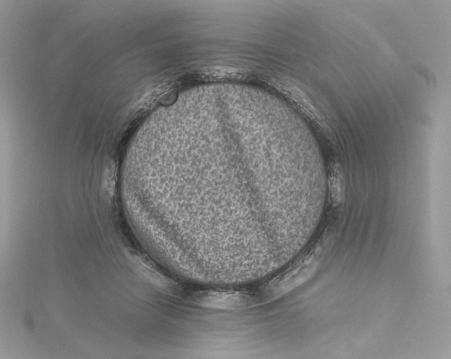 X0000115440458200911251249