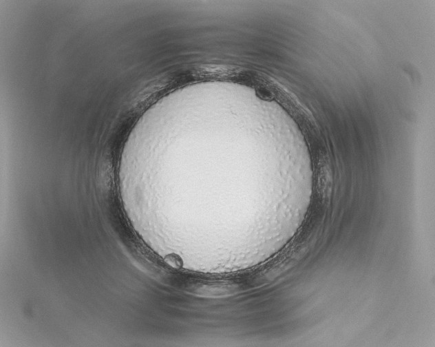 X0000115440459200911251249