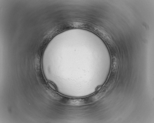 X0000115440461200911251249