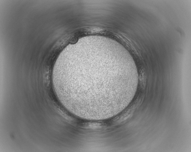 X0000115440462200911251249