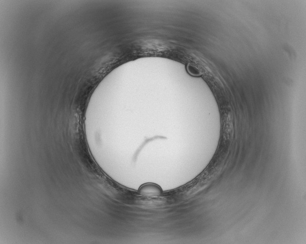 X0000115440463200911251249