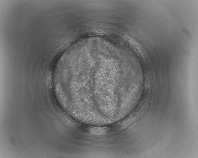 X0000115440465200911251249