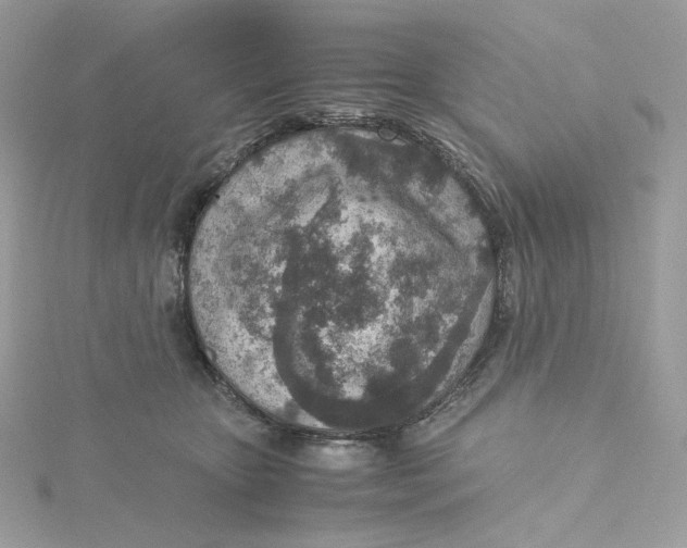 X0000115440467200911251249