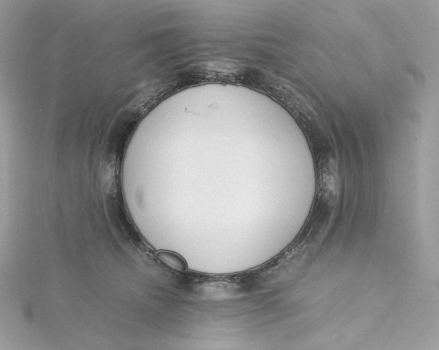 X0000115440468200911251249