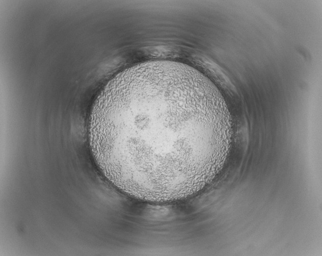 X0000115440469200911251249