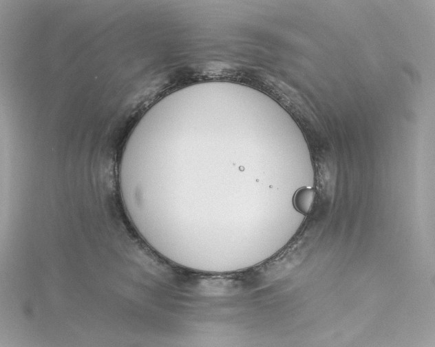 X0000115440470200911251249