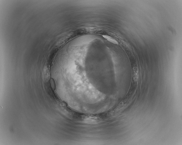 X0000115440471200911251249