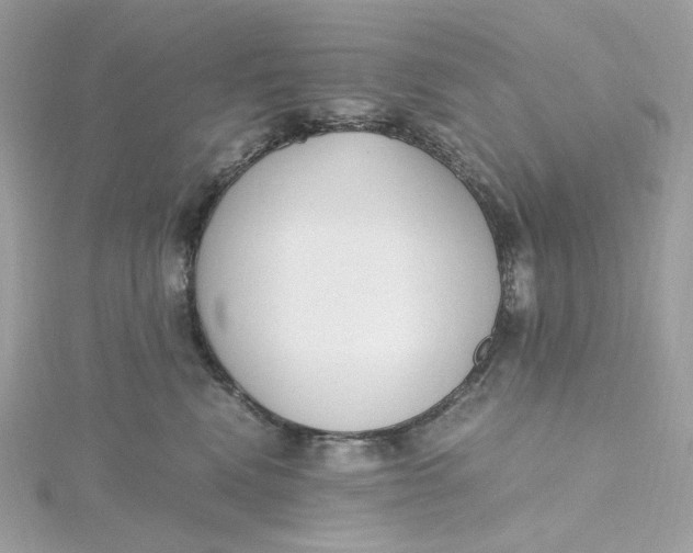 X0000115440472200911251249