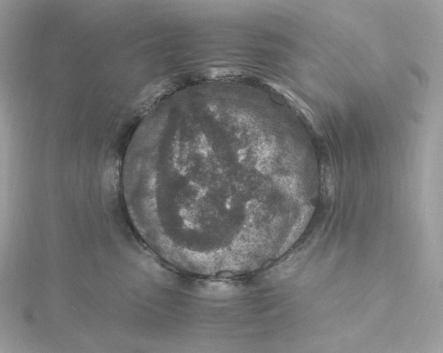 X0000115440475200911251249