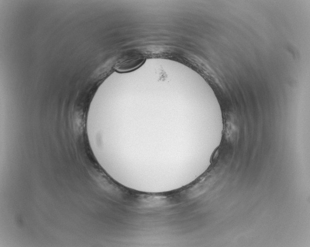 X0000115440476200911251249