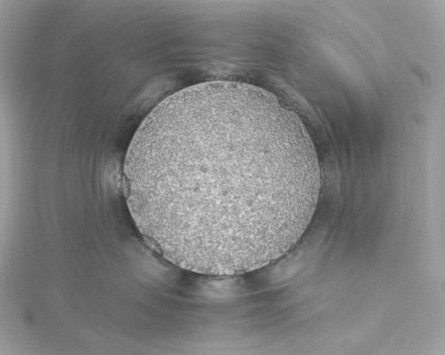 X0000115440479200911251249