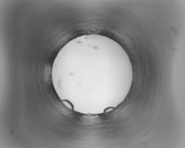 X0000115440480200911251249