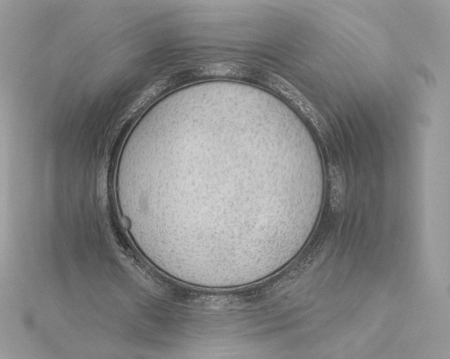 X0000115440482200911251249