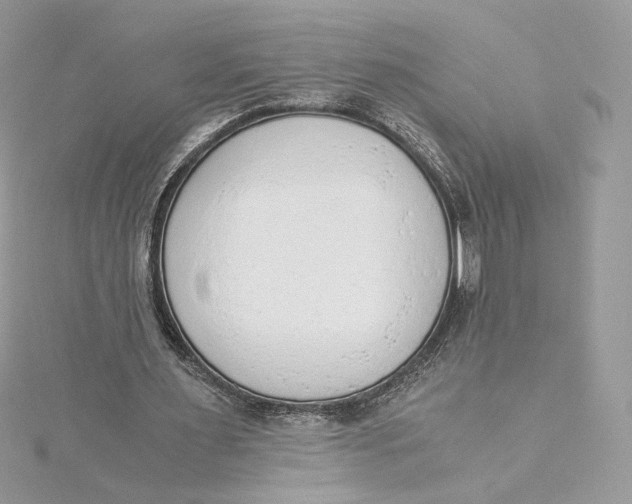 X0000115440483200911251249