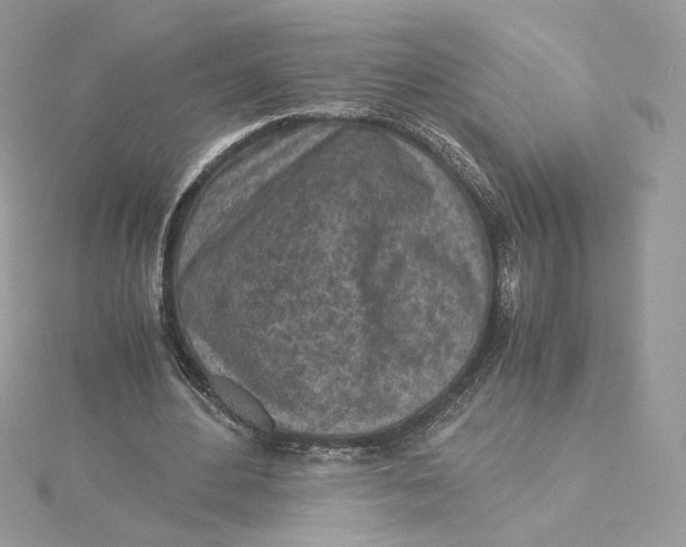 X0000115440484200911251249