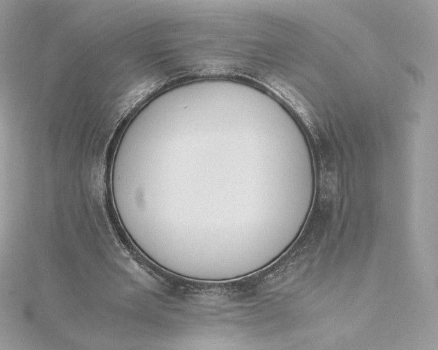 X0000115440485200911251249