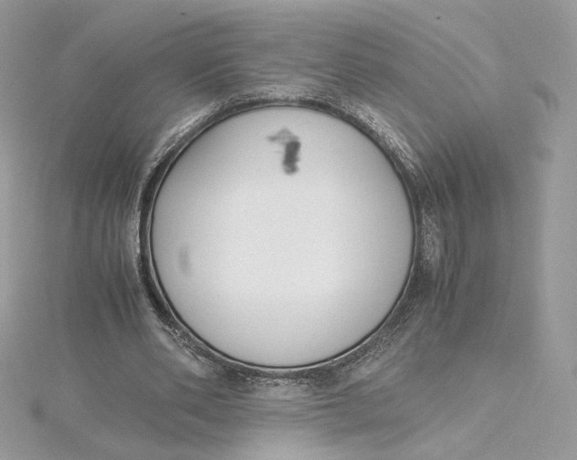 X0000115440486200911251249