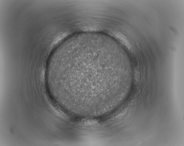 X0000115440491200911251249