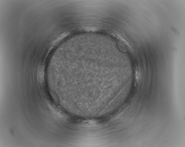 X0000115440492200911251249