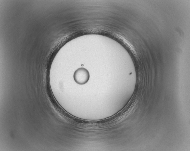 X0000115440493200911251249