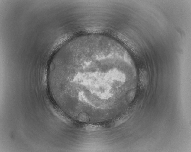 X0000115440494200911251249