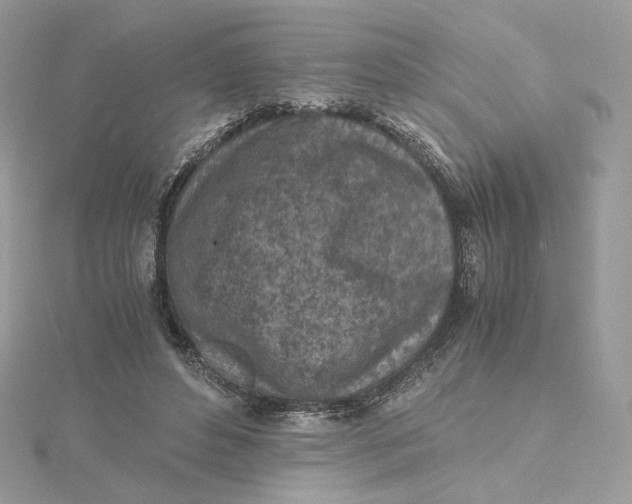 X0000115440496200911251248