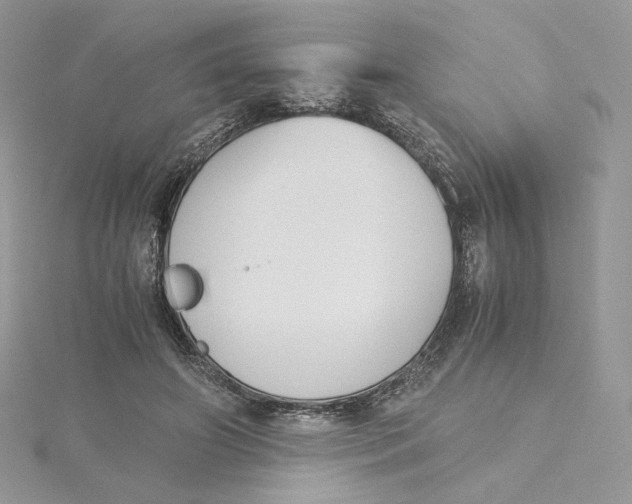 X0000115440498200911251248