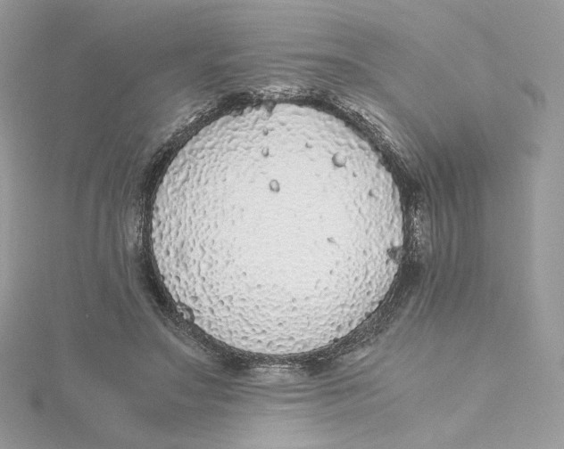 X0000115440499200911251248