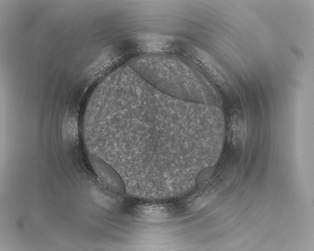 X0000115440500200911251248