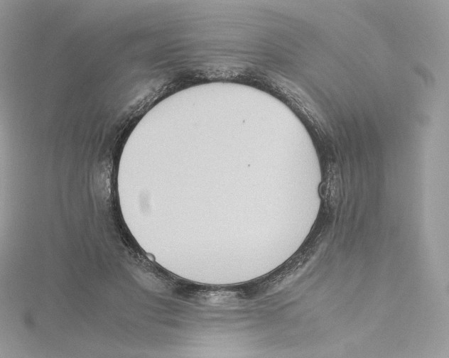 X0000115440501200911251248