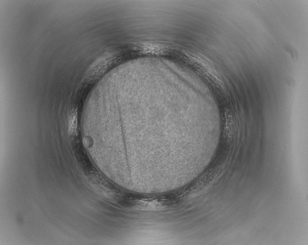 X0000115440502200911251248