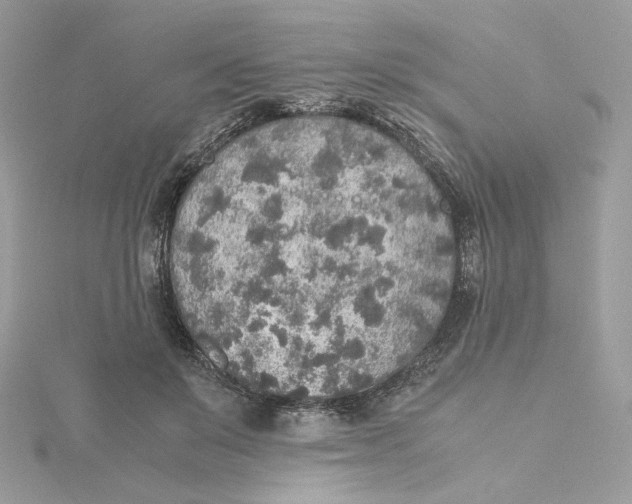 X0000115440503200911251248