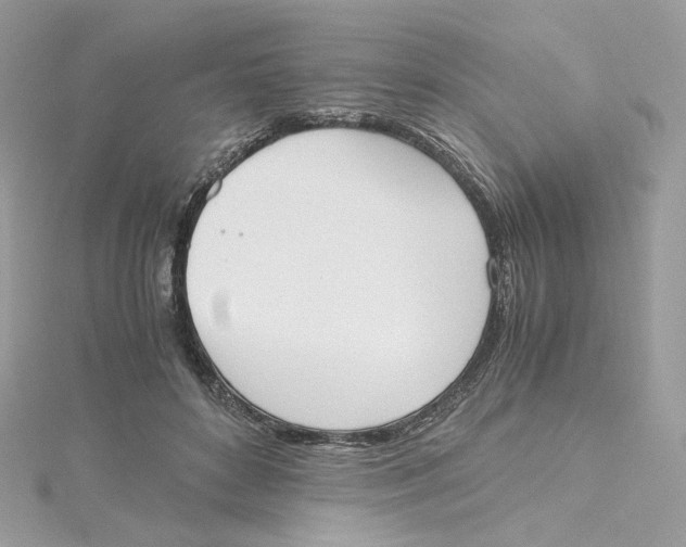 X0000115440504200911251248