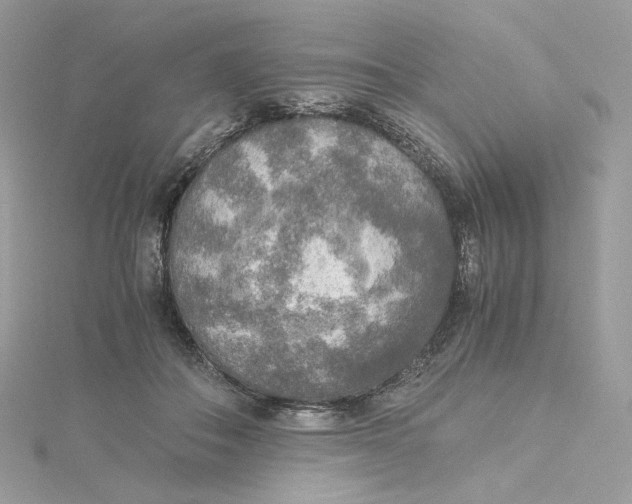 X0000115440506200911251248