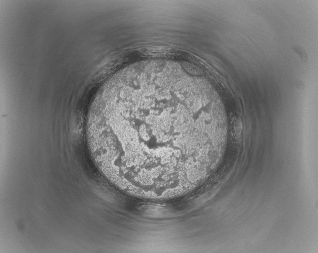 X0000115440507200911251248