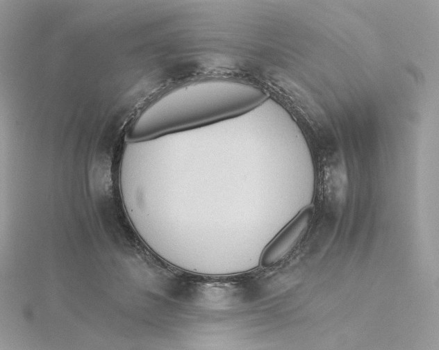 X0000115440508200911251248