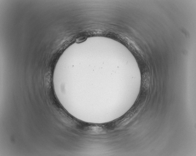 X0000115440509200911251248