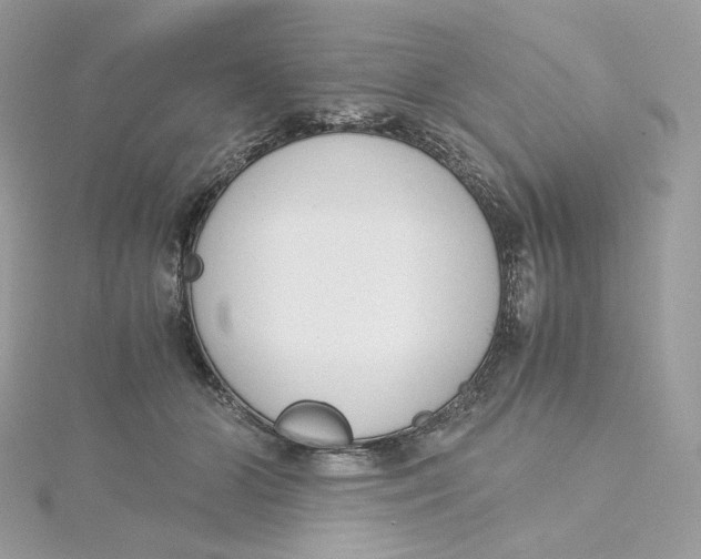 X0000115440510200911251248