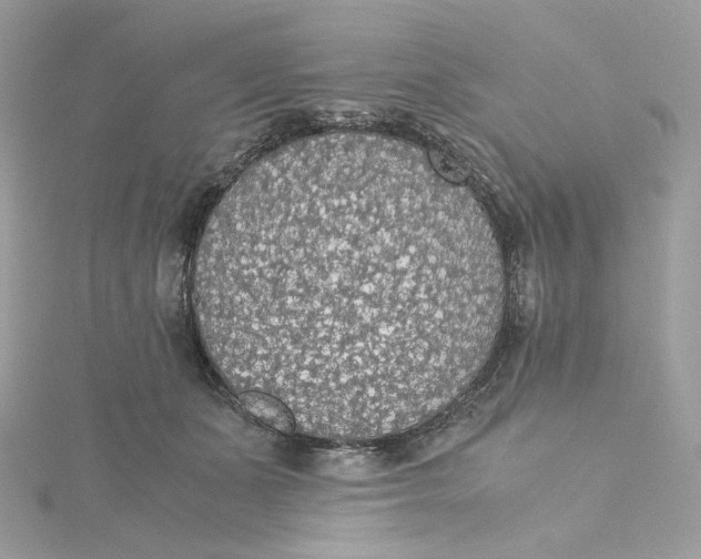 X0000115440511200911251248